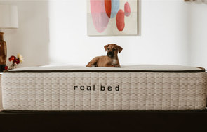 Real Bed
