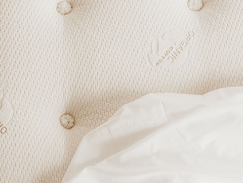 Real Bed mattress organic cotton