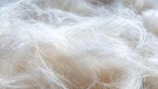 Linen V.S. Wool